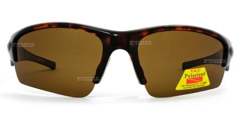 Polarized Sunglasses Tortoise