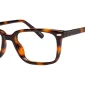 Enhance EN4300 eyeglasses in Tortoise, 47mm frame width