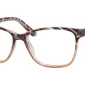 Enhance EN4149 Eyeglasses Brown Tortoise, Lens Width (Eye Size) 53