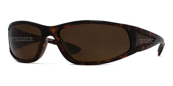 Tortoise-Profile Bifocal Polarized Sunglasses, Tortoise