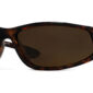 Bifocal Polarized Sunglasses, Tortoise