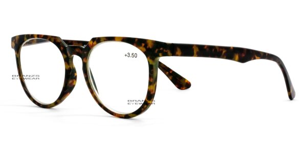 Round Retro Reading Glasses featuring a glossy, traditional dark brown tortoise shell pattern, shown flat on a white background.